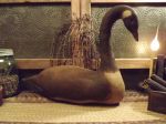 PB H 34 Canada Goose style 1
